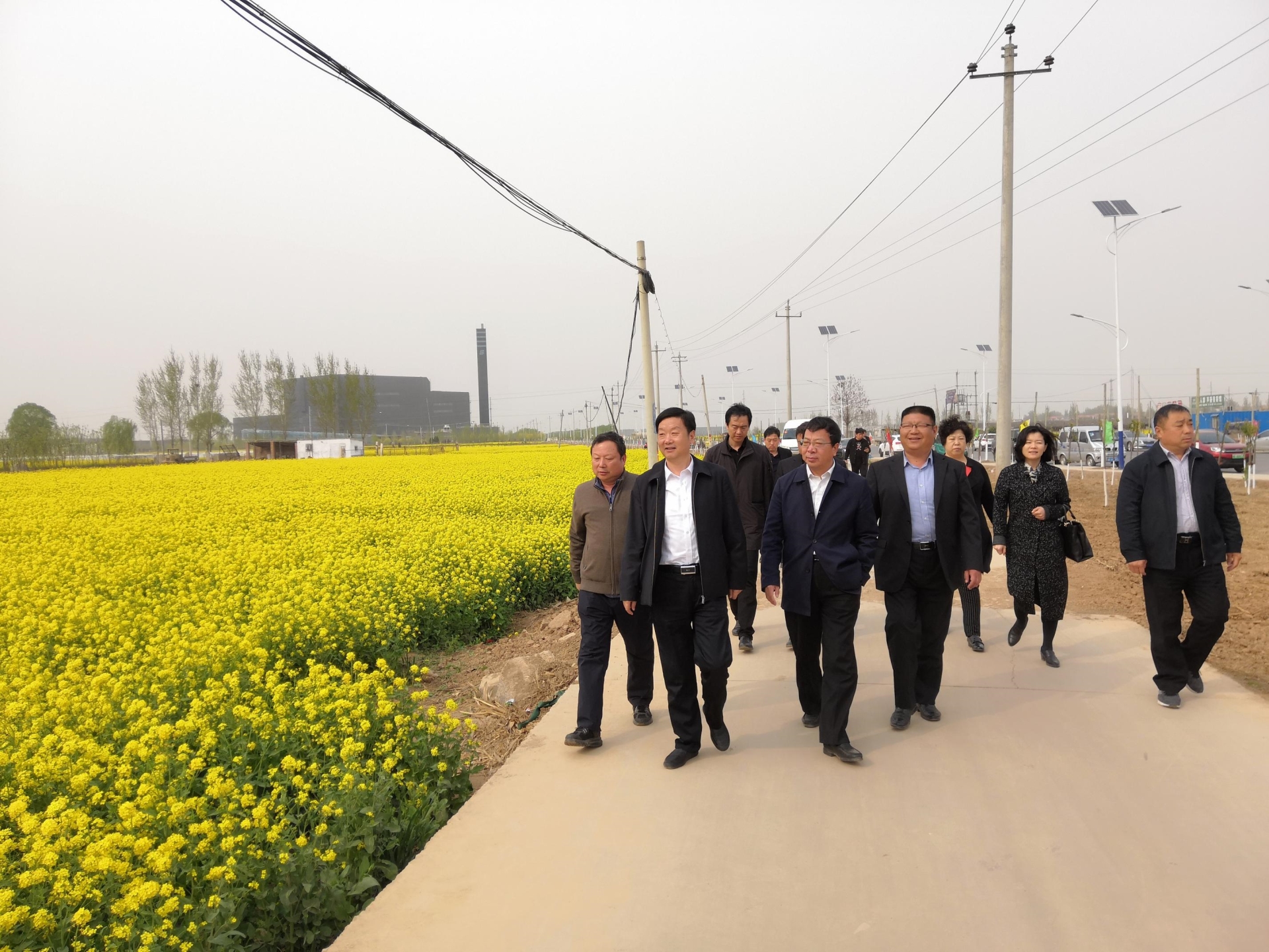 農業(yè)農村部領導親臨魏縣園區(qū)指導工作